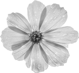 Fleur